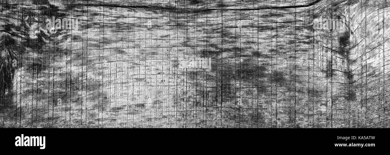 Panorama di legno vecchio texture con crepe e nodi, rovere sbiancato, granaio. scheda di grandi dimensioni. copia spazio. Libera spazio per testo. foto in bianco e nero Foto Stock