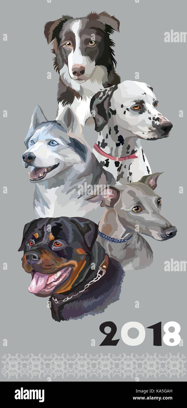 Cartolina verticale con cani di differenti razze (rottweiler; Border Collie; Levriero Italiano; Dalmazia, siberian husky)su sfondo grigio. Anno 2018 Illustrazione Vettoriale