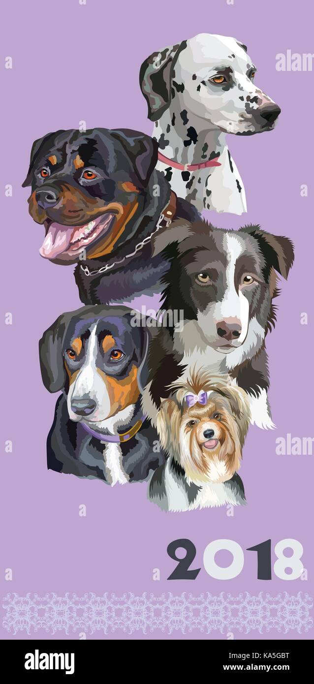 Cartolina verticale con cani di differenti razze (rottweiler; Border Collie;; dalmata biewer terrier, entlebucher mountain dog) su sfondo viola. Illustrazione Vettoriale