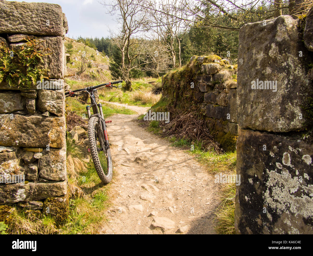 Fatto a guisburn oggi, e non ha fatto meglio del previsto considerando la lunga lay off! Hully Gully inchiodato! Foto Stock