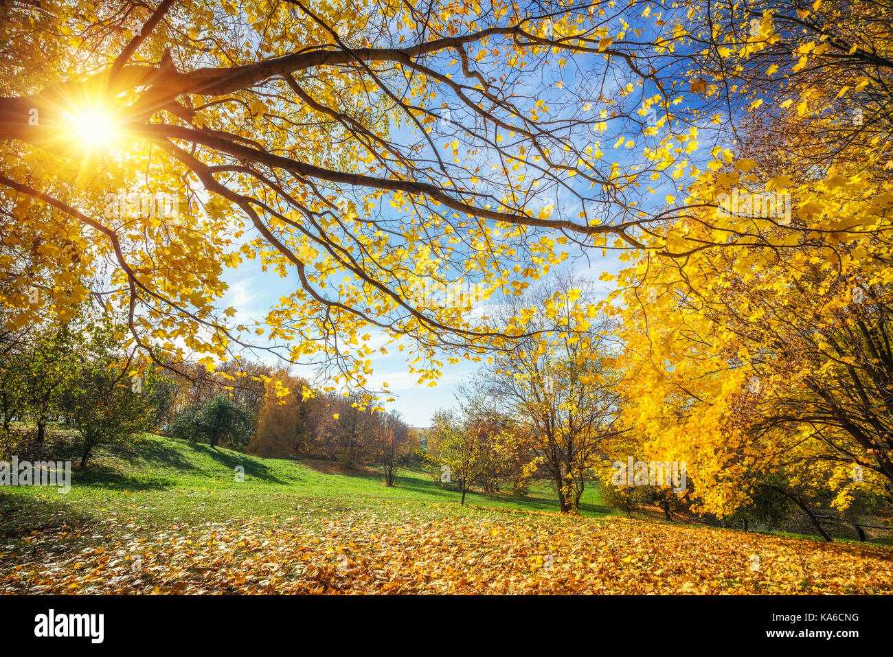 Sunny autunno in campagna Foto Stock Sunny autunno in campagna Foto Stock