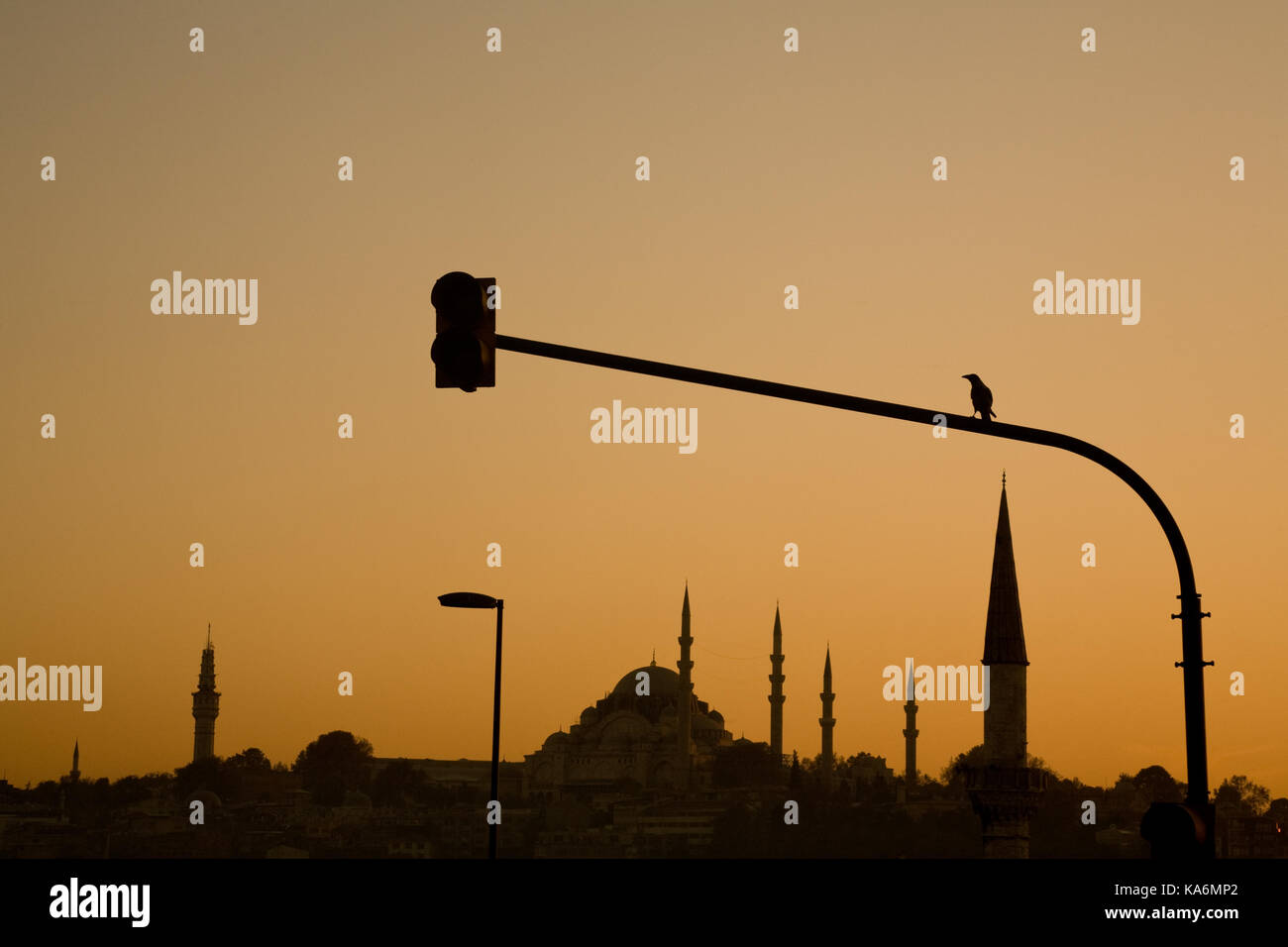 Moschea Süleymaniye e uccello su un semaforo silhouette al tramonto, Istanbul, Turchia. Foto Stock