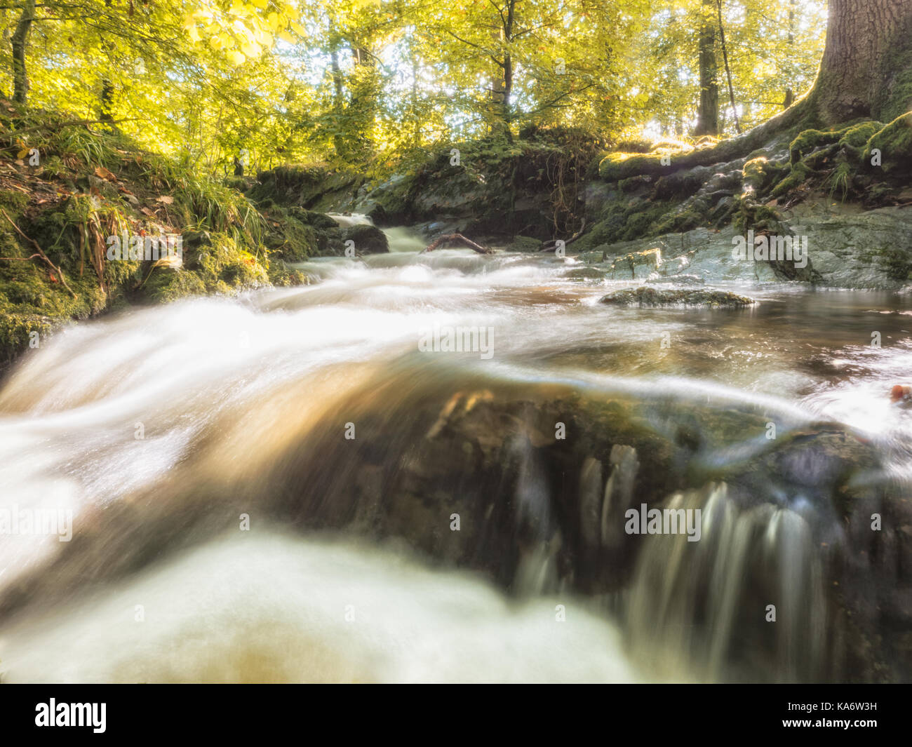 Ho inciampato su una cascata in rayrigg boschi, Bowness-on-Windermere oggi. Ne ho sentito parlare durante il passaggio e schioccato in per indagare. Vale la pena mettere Foto Stock