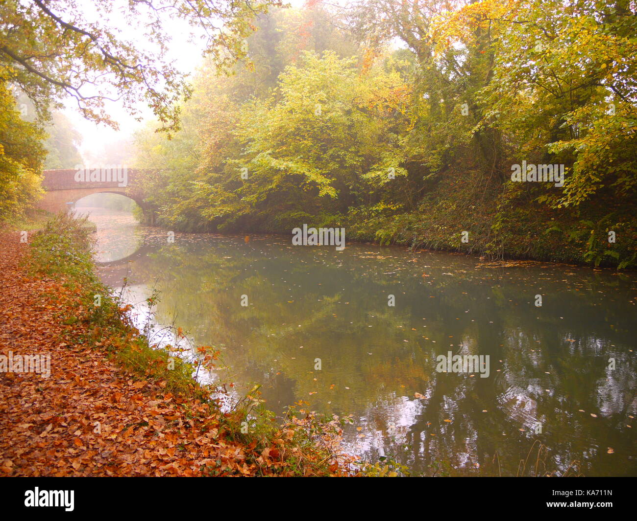 Il canale di Basingstoke Foto Stock