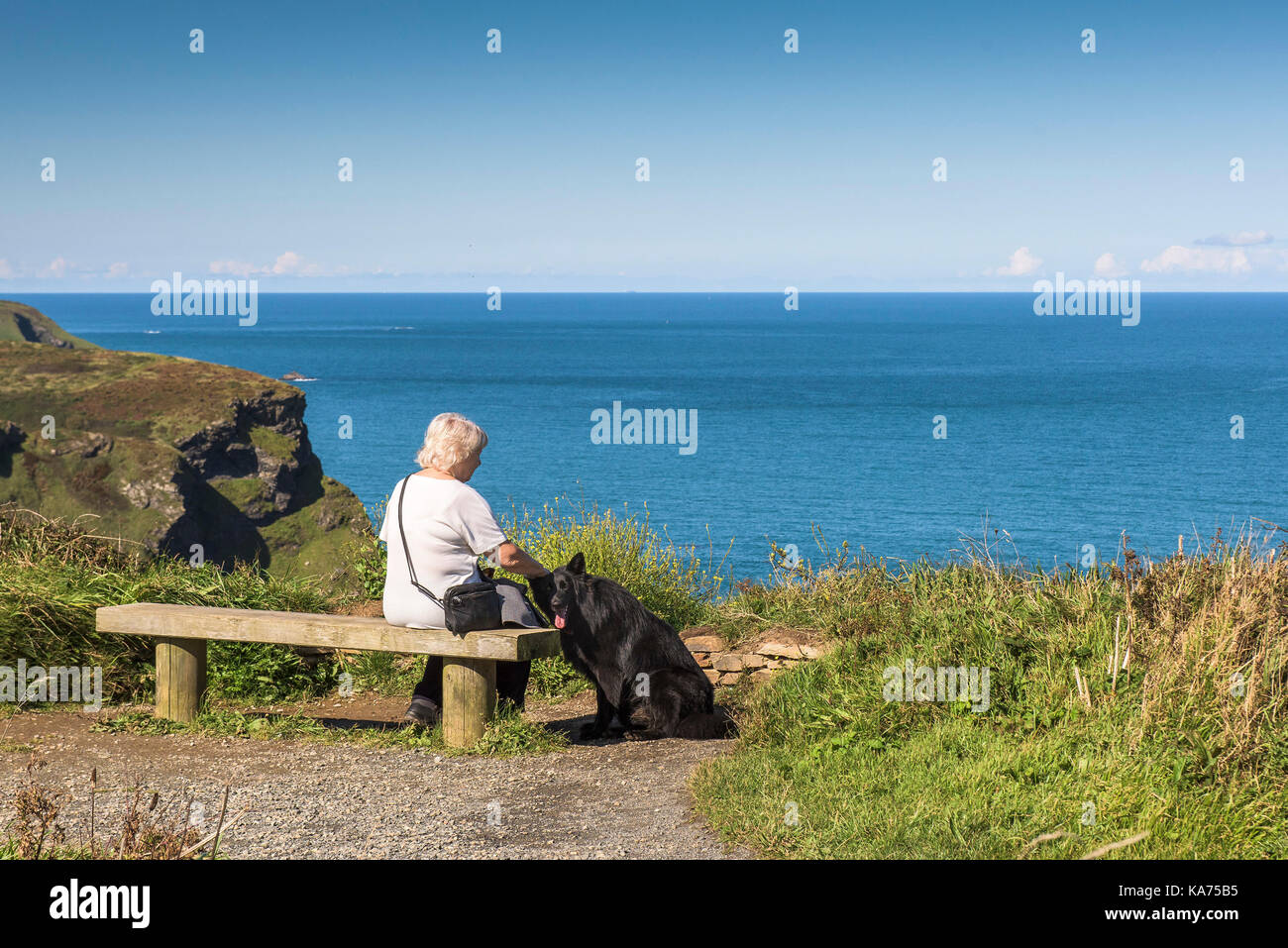 North Cornwall coast - una donna seduta su una panchina con il suo cane sulle scogliere del Nord in Cornovaglia. Foto Stock