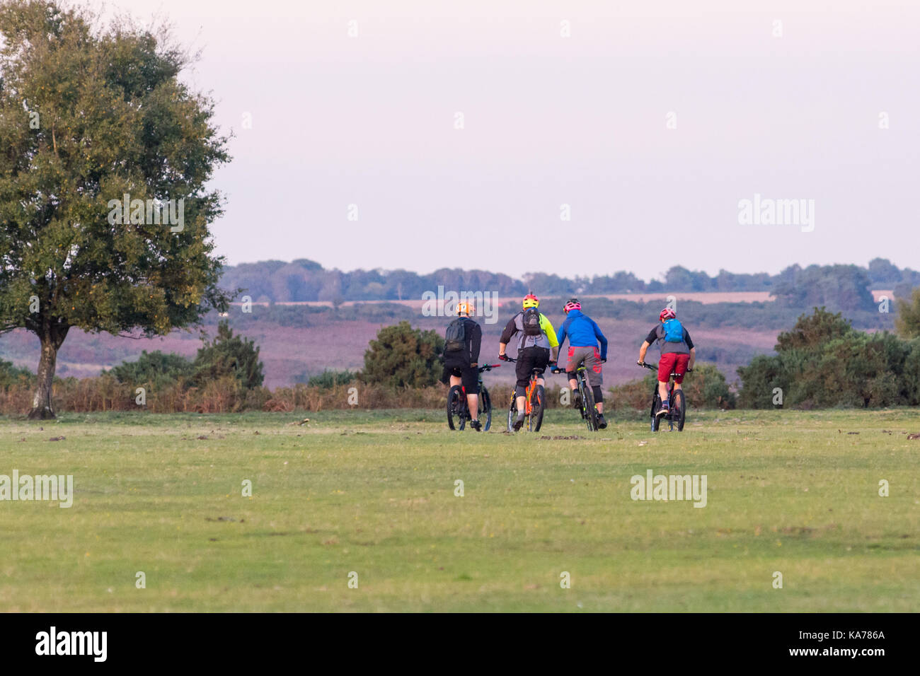 Quattro adolescenti in mountain bike la voce off su off road cross country ride. Foto Stock