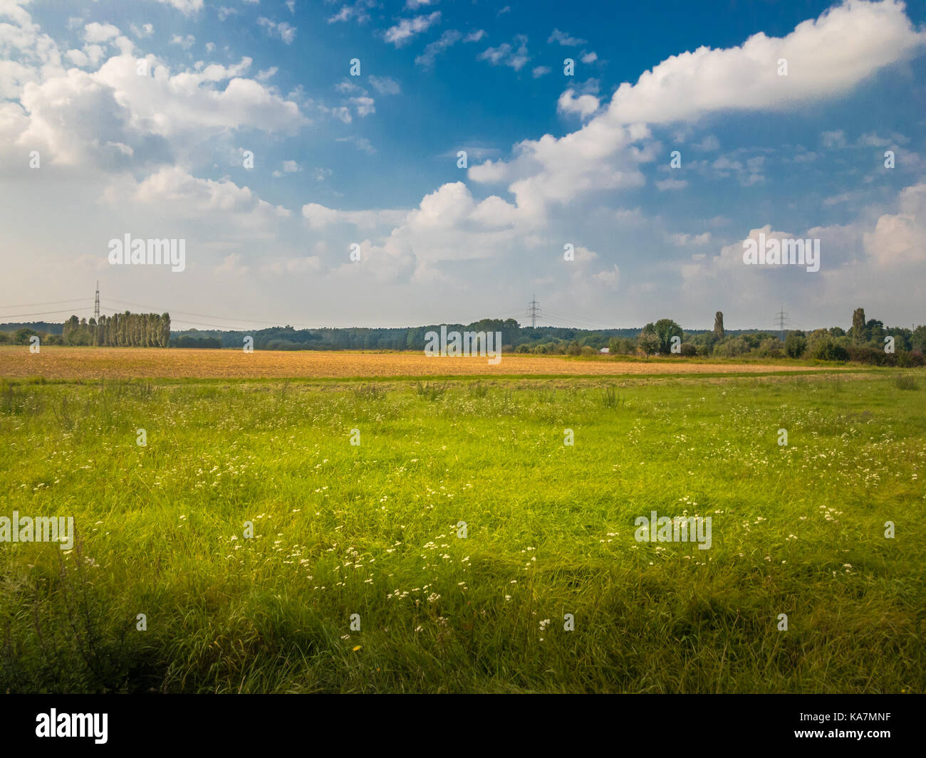 Vista panoramica sul prato tedesco e agricoltura campo in autunno Foto Stock
