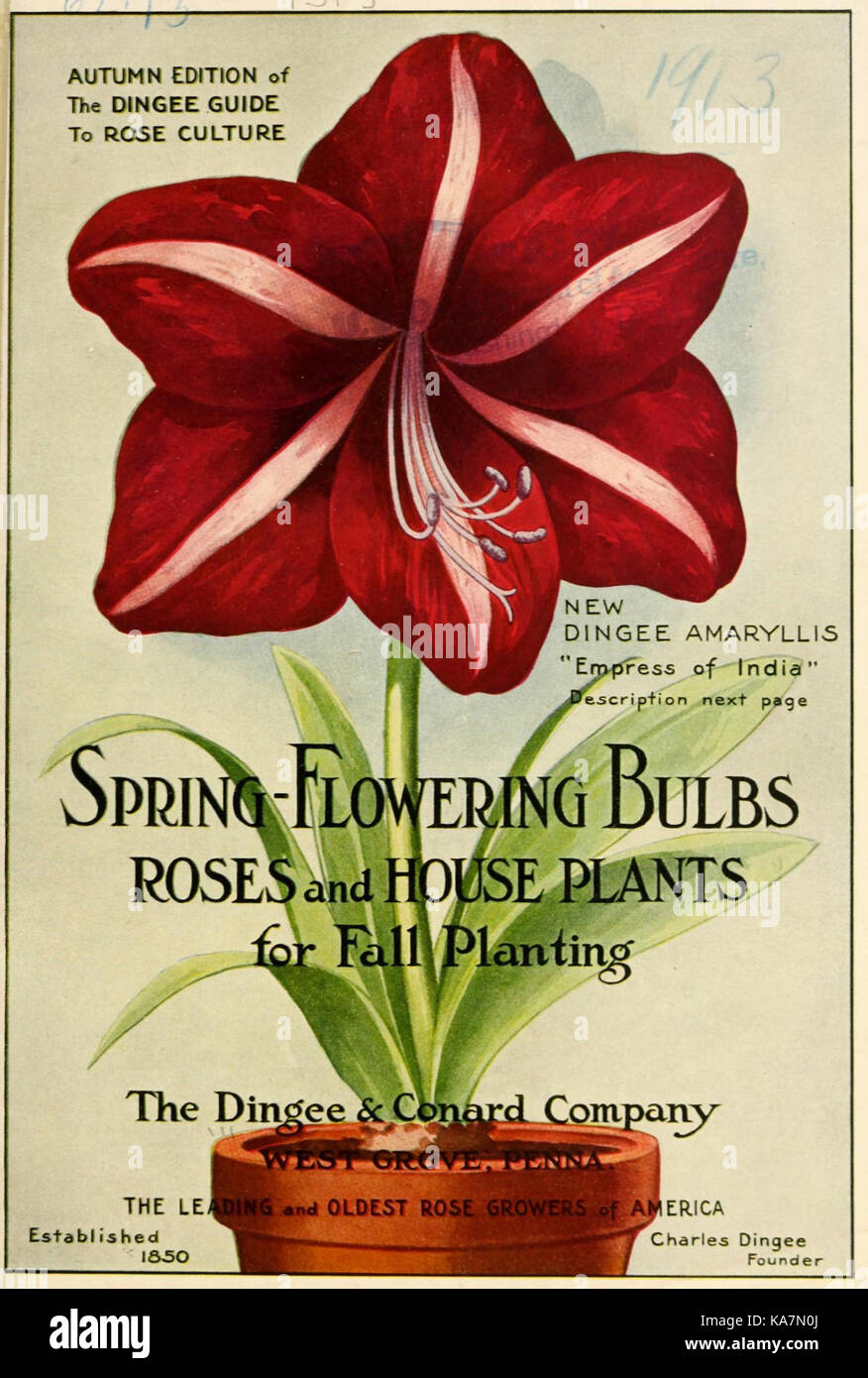 La molla i bulbi rose e piante di casa per la caduta di piantare (16368817613) Foto Stock