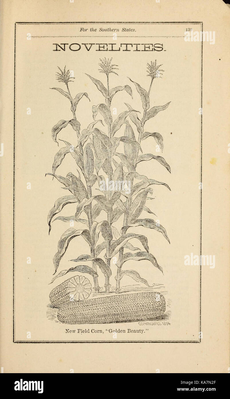 Richard Frotscher dell'almanacco del giardino e manuale per gli Stati meridionali (16720426588) Foto Stock