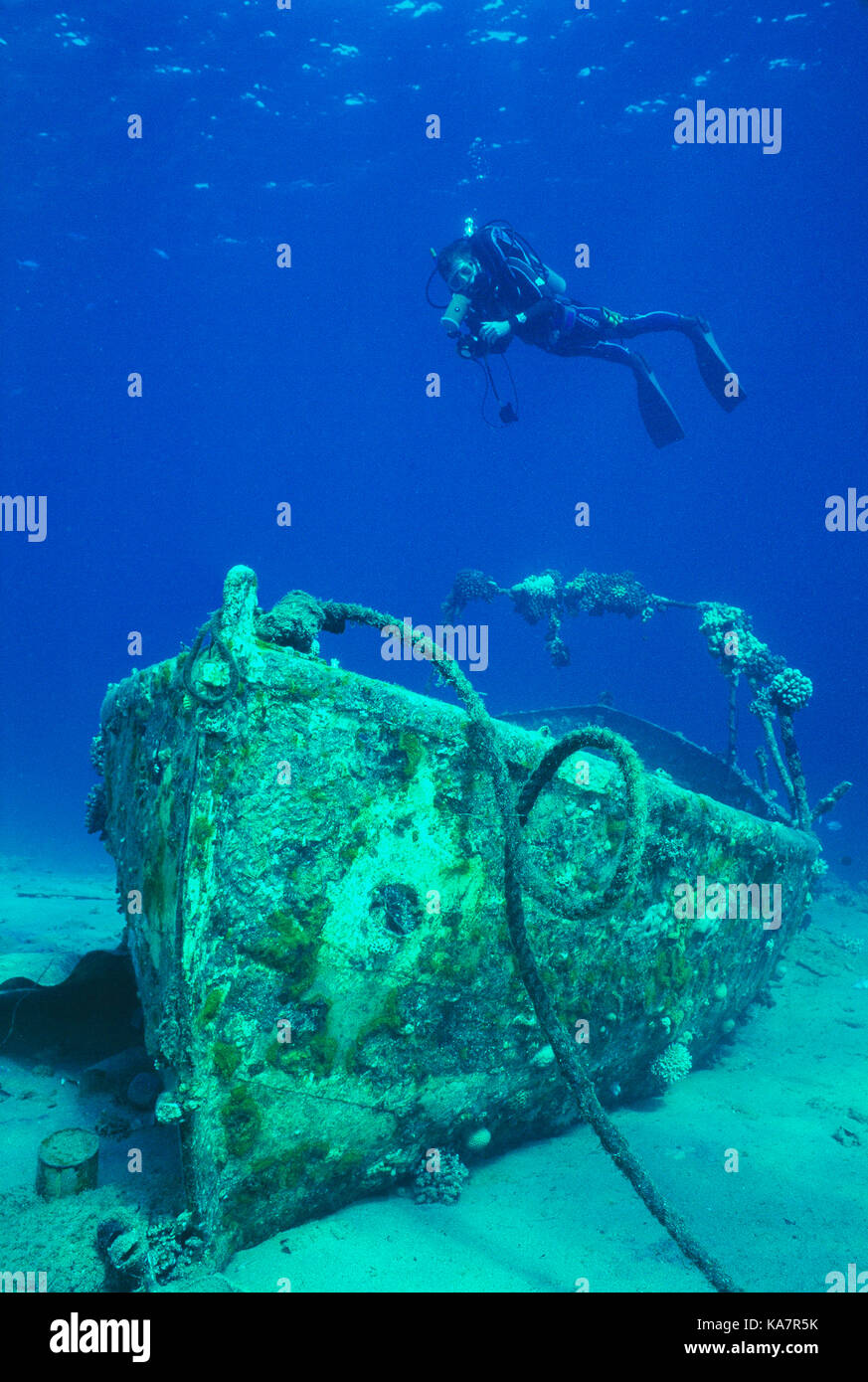 L'Egitto. Mar Rosso. Scuba diving. Sommozzatore su barca affondata. Foto Stock