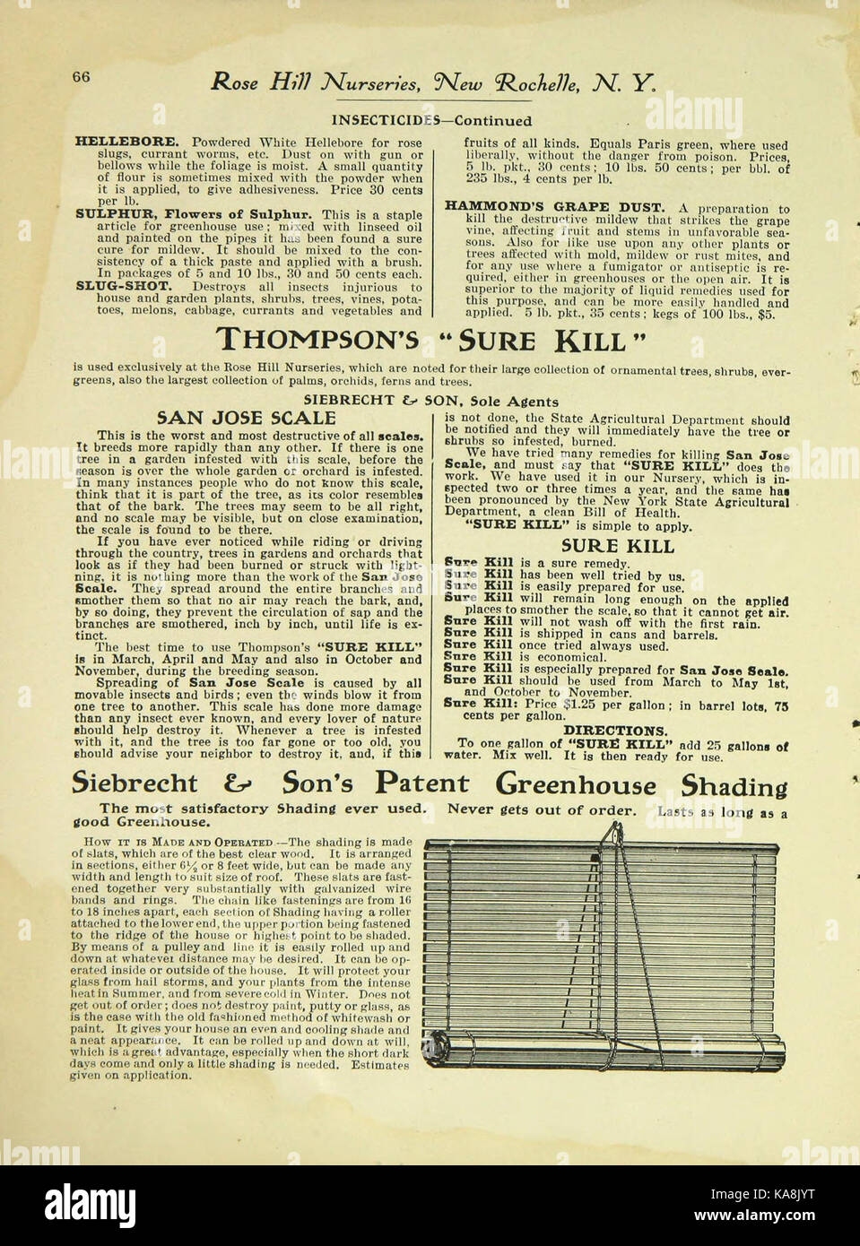 Siebrecht Wadley e materiali (pagina 66) BHL47793687 Foto Stock