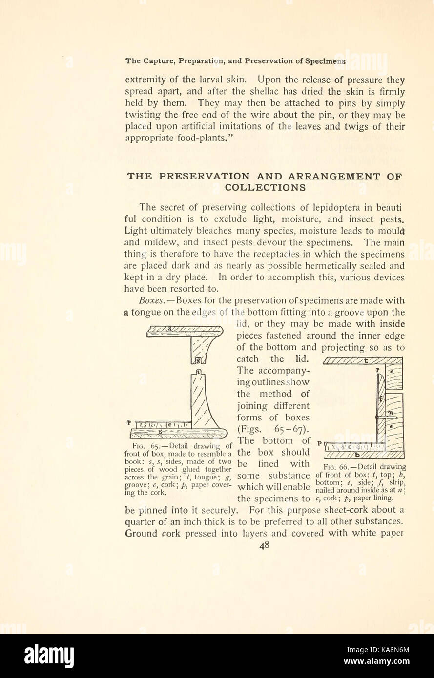 Il libro a farfalla (pagina 48, figg. 65 66) bhl4428674 Foto Stock