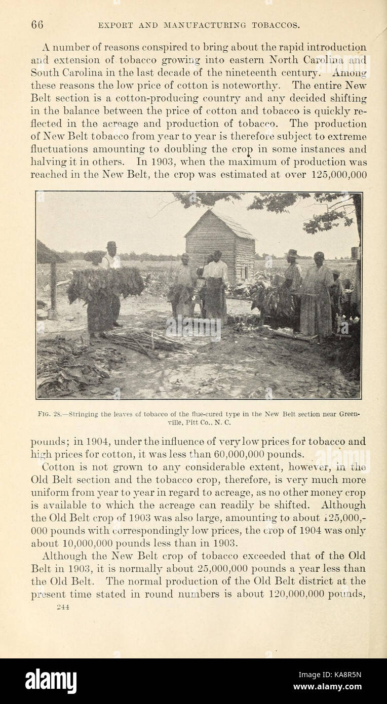 L'esportazione e la produzione di tabacchi degli Stati Uniti (pagina 66) BHL42629972 Foto Stock