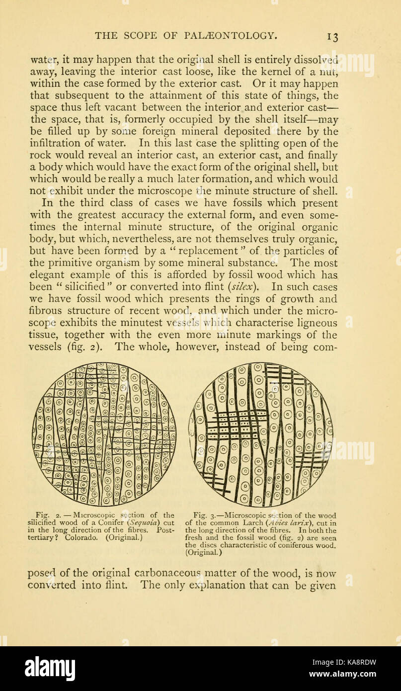 La vita antica storia della terra (pagina 13, Figg. 2 3) BHL13762480 Foto Stock