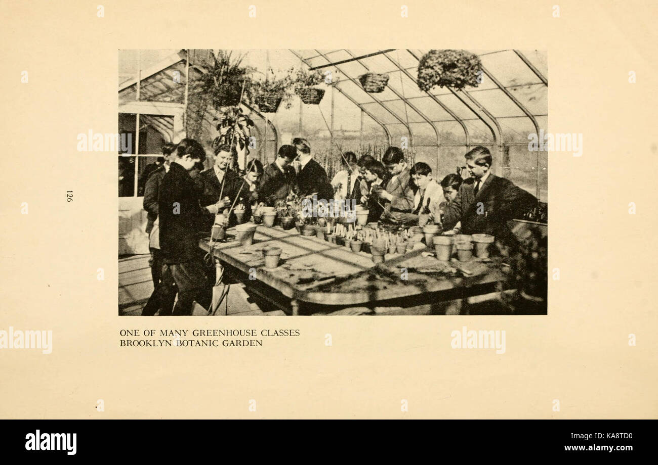 Il Brooklyn Botanic Garden (pagina 126) BHL39327781 Foto Stock