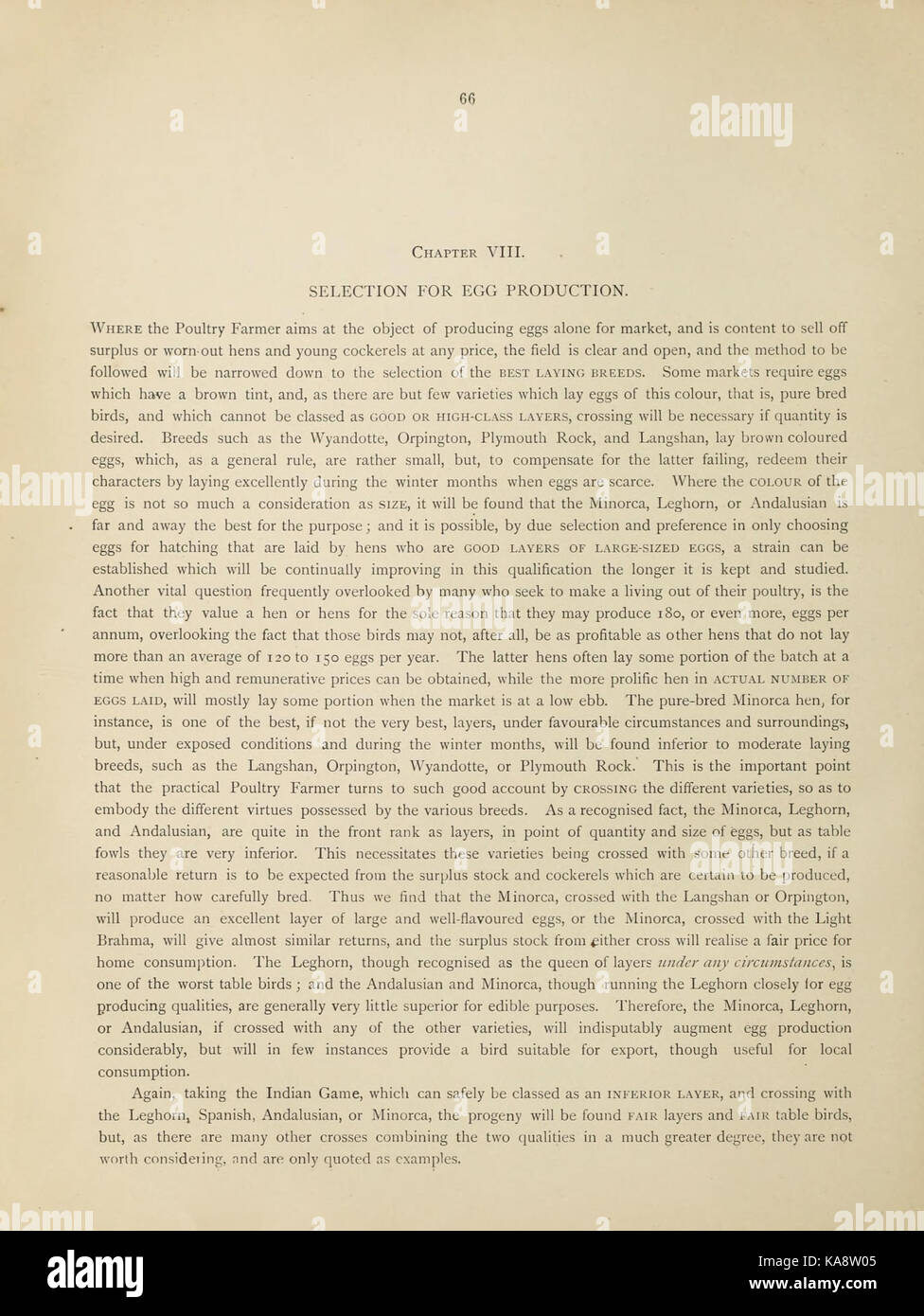 L'Australasian libro di pollame (pagina 66) BHL47318908 Foto Stock