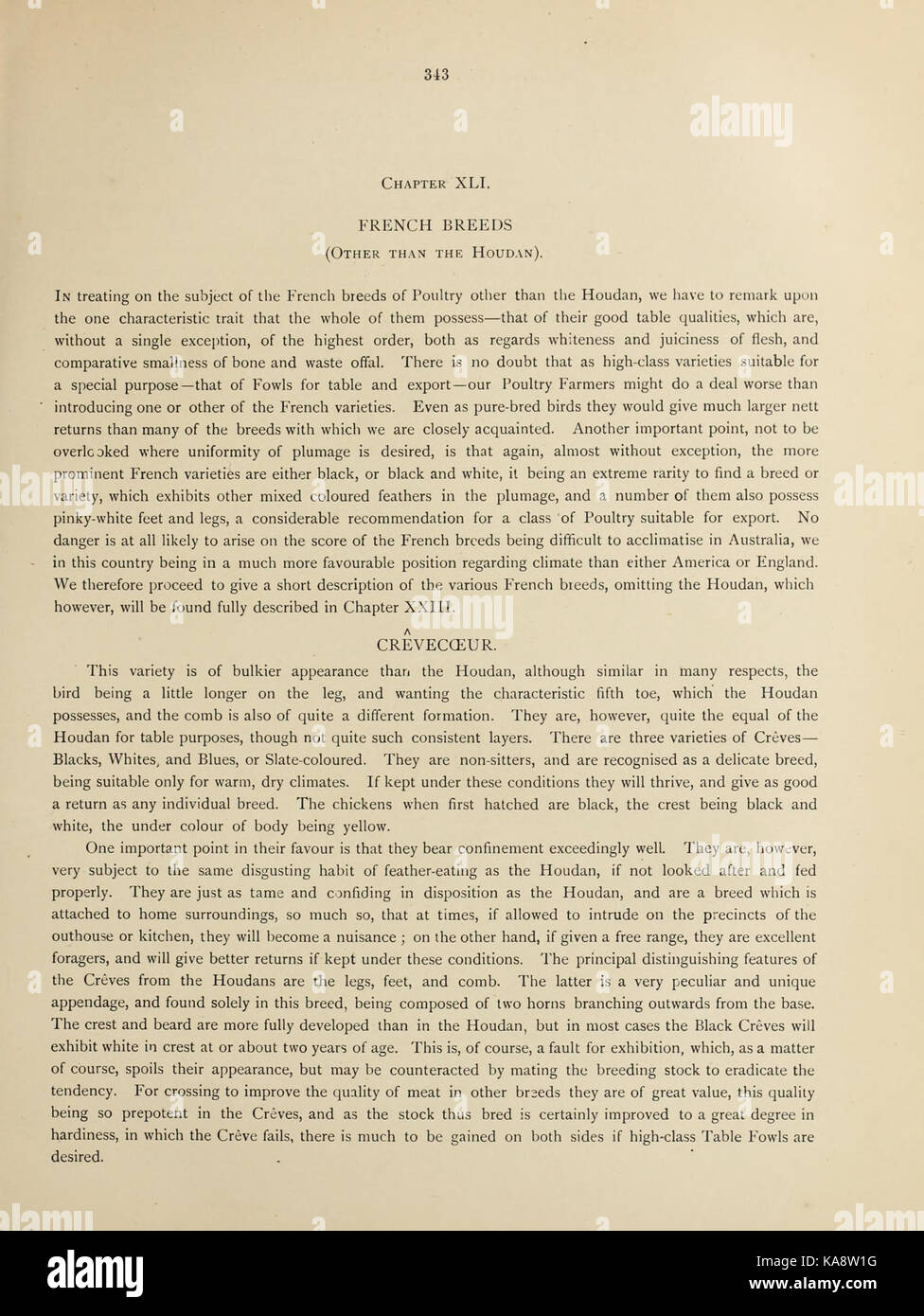 L'Australasian libro di pollame (pagina 343) BHL47319289 Foto Stock