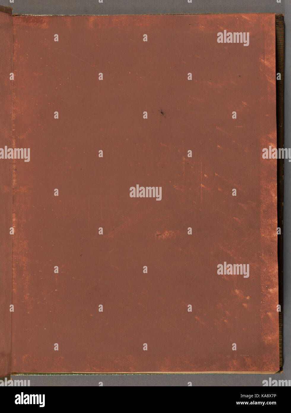 Gli uccelli di Gran Bretagna BHL40923505 Foto Stock