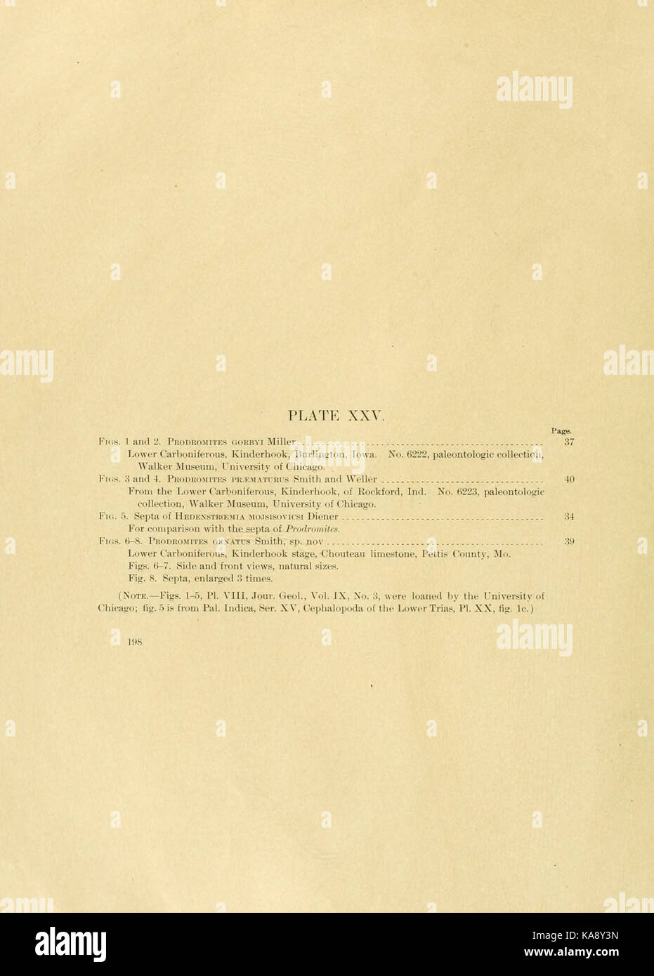 Gli ammonoidi del Carbonifero d'America sono un significativo gruppo fossile, mostrato nella placca XXV del libro citato, che illustra la diversità e lo sviluppo di queste antiche specie marine durante il periodo del Carbonifero. Foto Stock