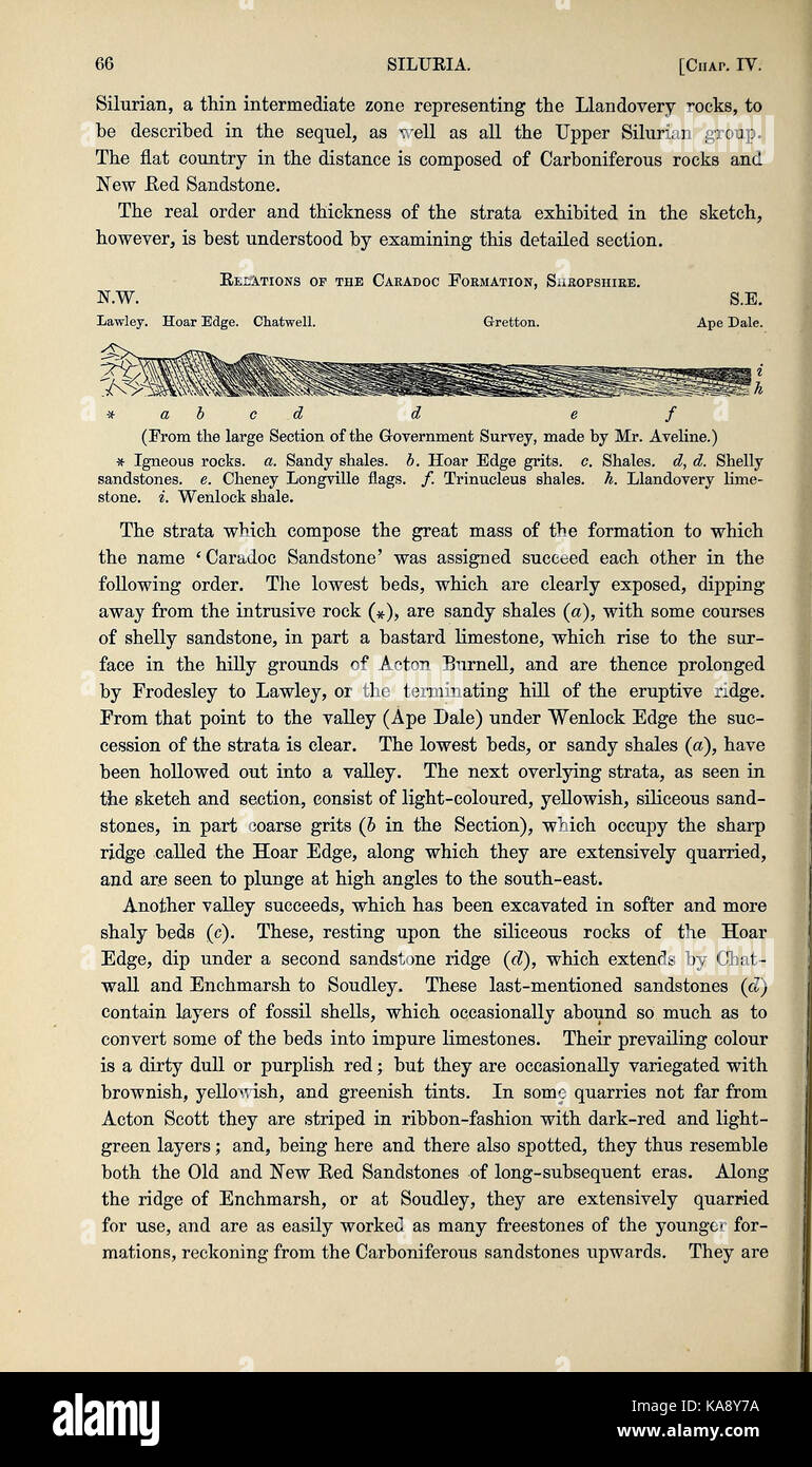 Siluria (pagina 66) BHL47012332 Foto Stock