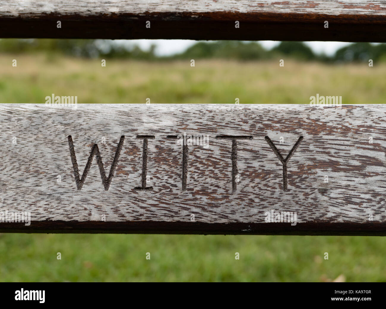 La parola spiritoso scolpito su una panca in legno Foto Stock