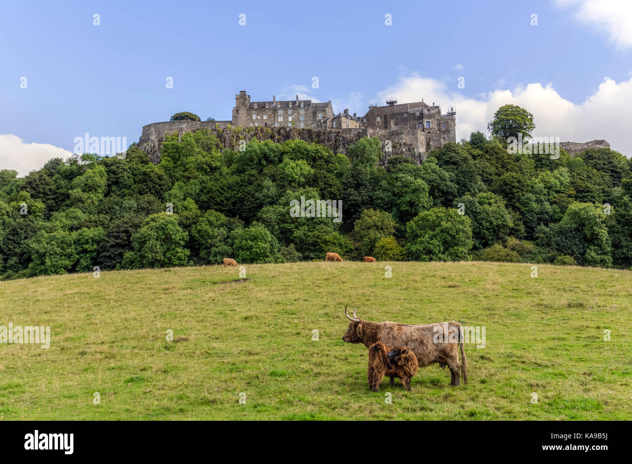 Il Castello di Stirling, Stirling, Falkirk, Scotland, Regno Unito Foto Stock