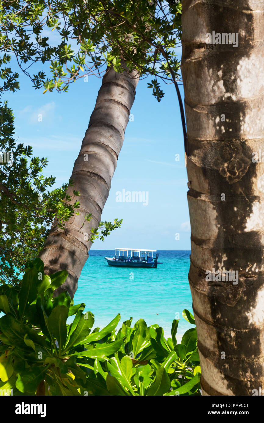 Maldive Beach - Atollo Rasdhoo, Maldive, Asia Foto Stock