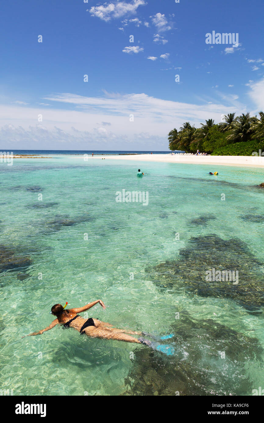 Snorkeling Maldive - una donna snorkeling nell'Oceano Indiano; Rasdhoo atoll, le Maldive, Asia Foto Stock
