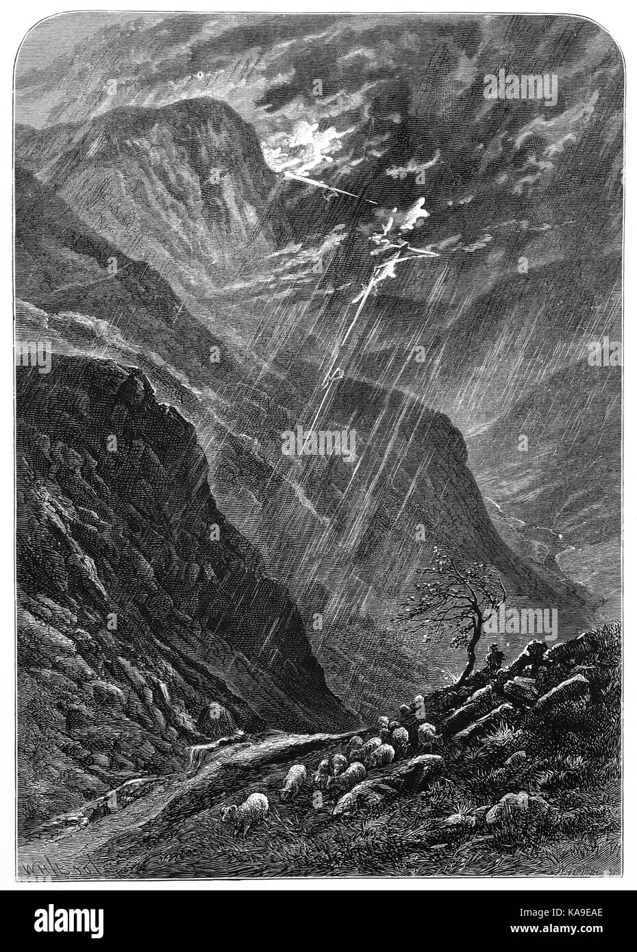 1870: Le pecore di montagna nel bel mezzo di una tempesta su Honister roccioso e passano vicino Buttermere, nel distretto del lago, Cumbria, Inghilterra Foto Stock