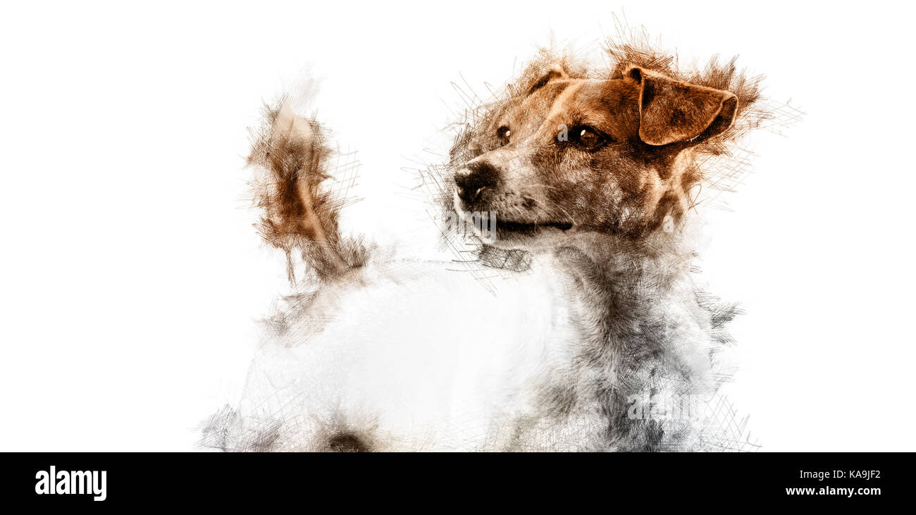 Jack Russell Terrier cane. arte digitale Foto Stock