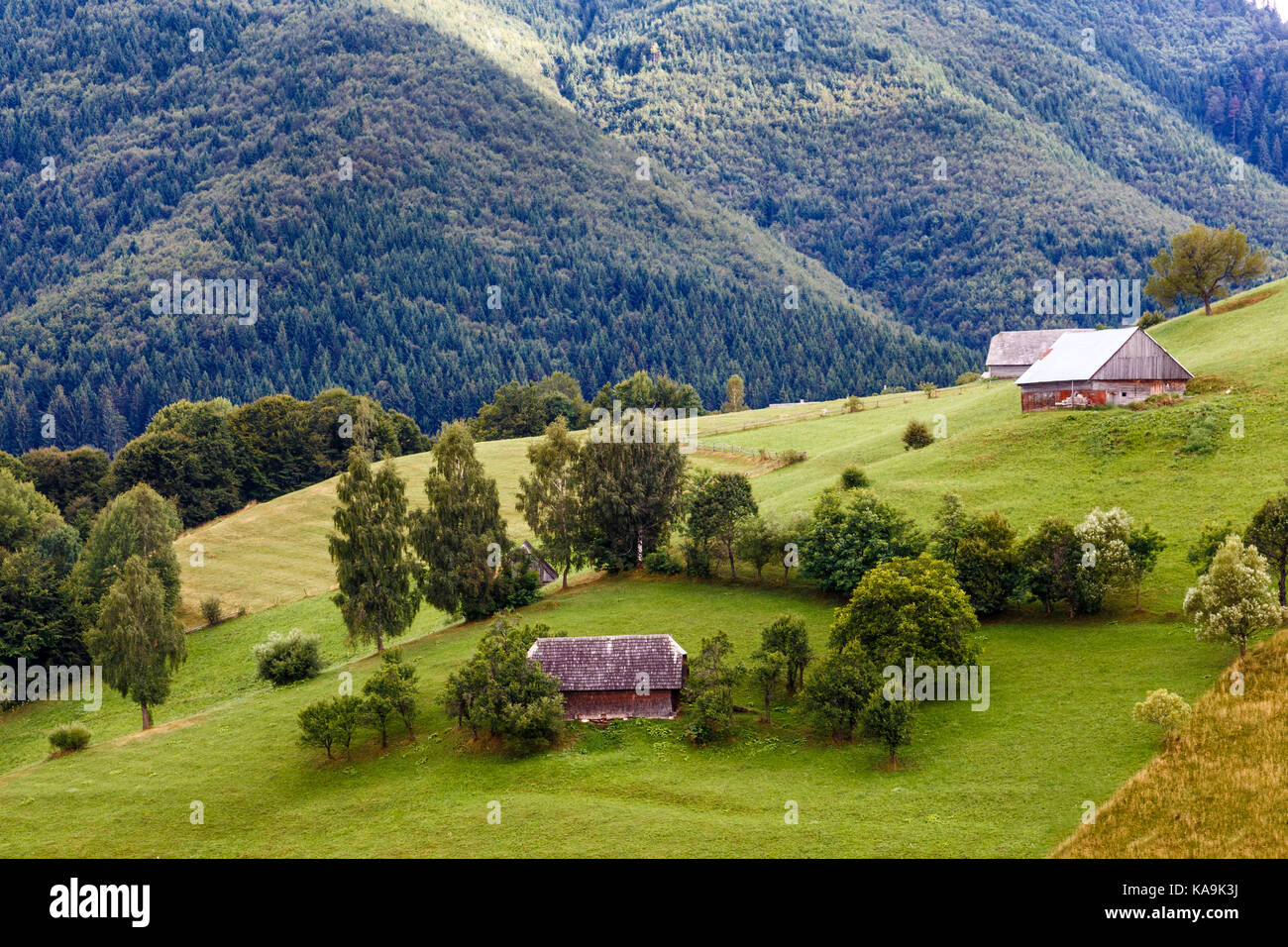 Estate paesaggio alpino con campi verdi e haystacks, crusca, Transilvania, Romania, europa Foto Stock