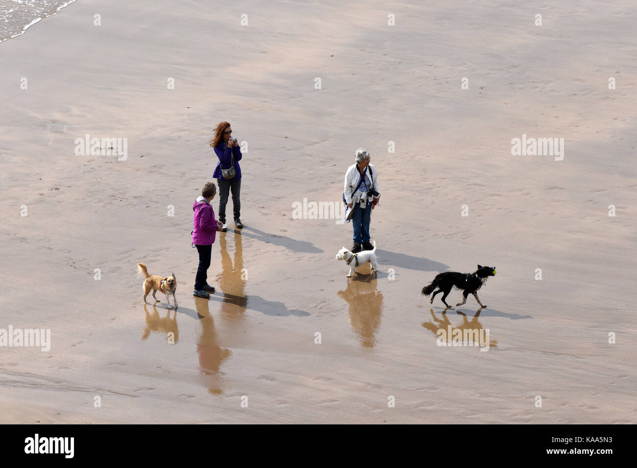 La gente camminare cani su vasta oasi South Beach si trova nei pressi del villaggio di Bosherston in South Pembrokeshire nel Galles Occidentale. Foto Stock