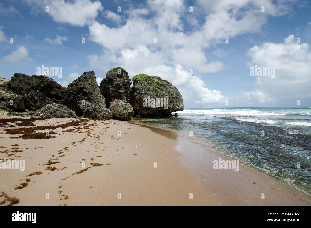 Rocce giganti e le formazioni rocciose nei pressi di Betsabea, East Coast di Barbados Foto Stock