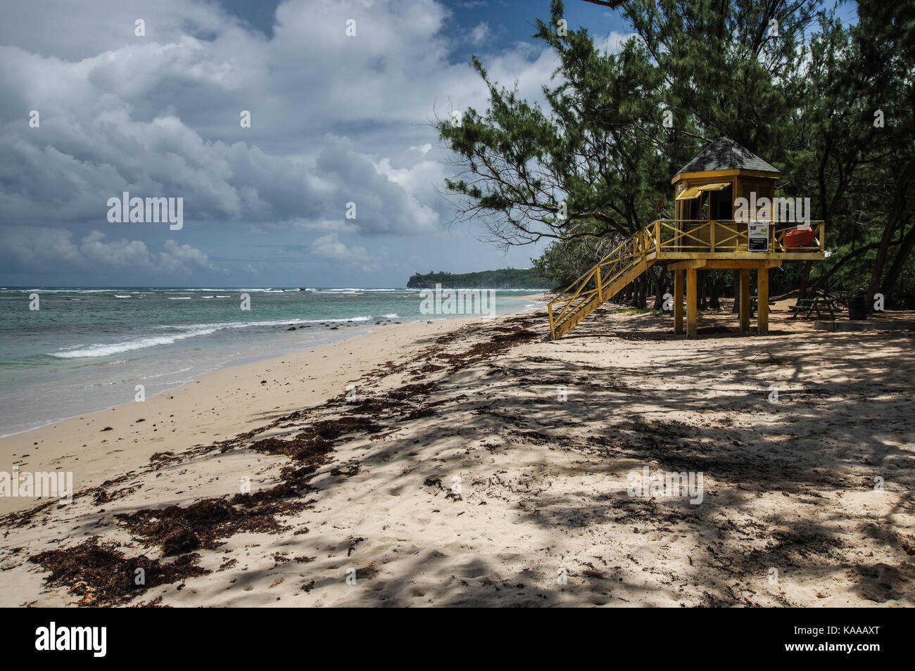 Bellissima spiaggia in bagno sulla costa orientale di Barbados Foto Stock