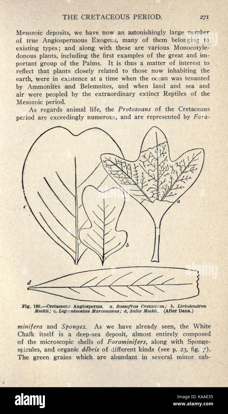 La "storia della vita antica della Terra", a pagina 271, presenta un'esplorazione della storia geologica e biologica del pianeta. Copre lo sviluppo delle forme di vita e l'evoluzione geologica della Terra nel corso di milioni di anni. Foto Stock