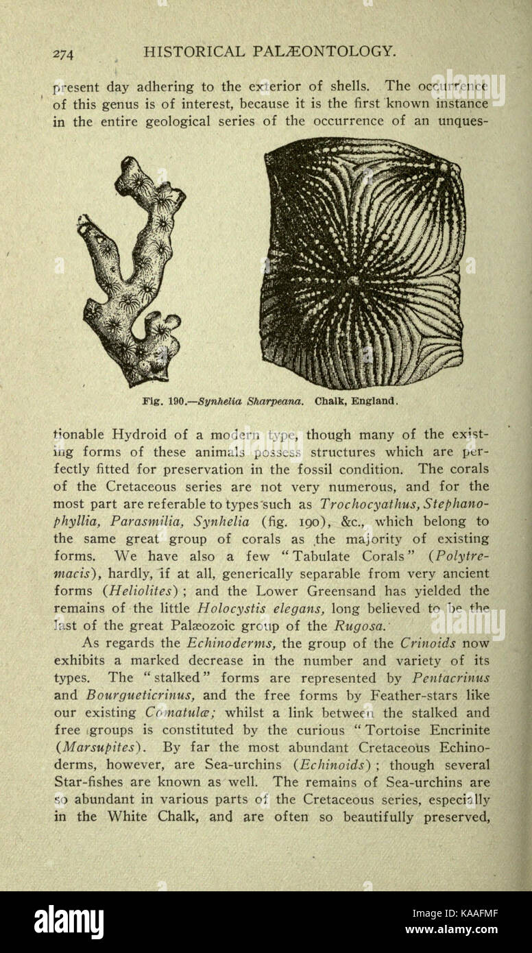 L'antica storia della vita della Terra è esplorata a pagina 274, offrendo informazioni sullo sviluppo geologico e biologico del pianeta. Questo lavoro fornisce uno sguardo completo sulle prime forme di vita della Terra e sui cambiamenti ambientali. Foto Stock