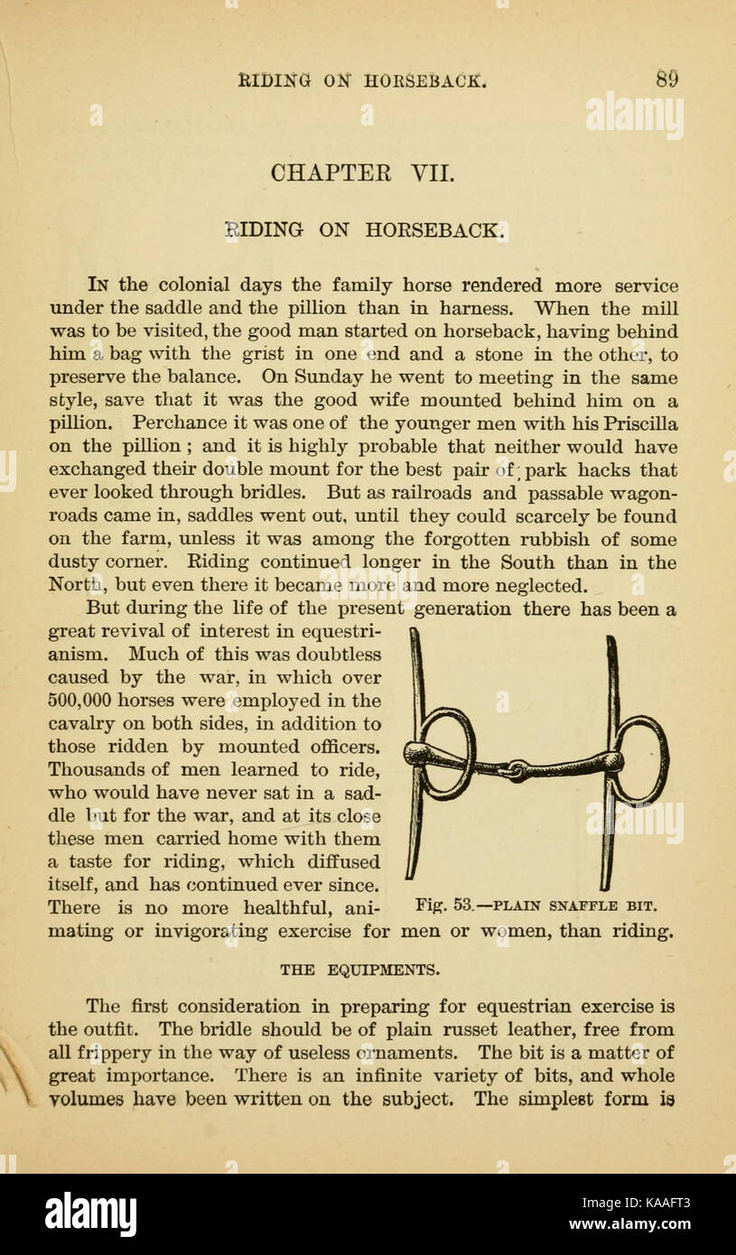 La famiglia cavallo (pagina 89) BHL21441933 Foto Stock