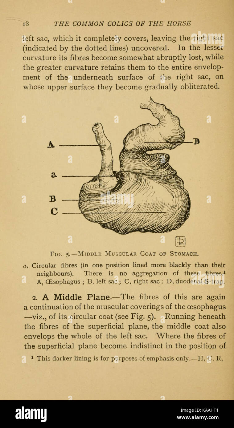 Una pagina da una pubblicazione sulle coliche comuni del cavallo, una condizione medica che colpisce gli equini. Foto Stock