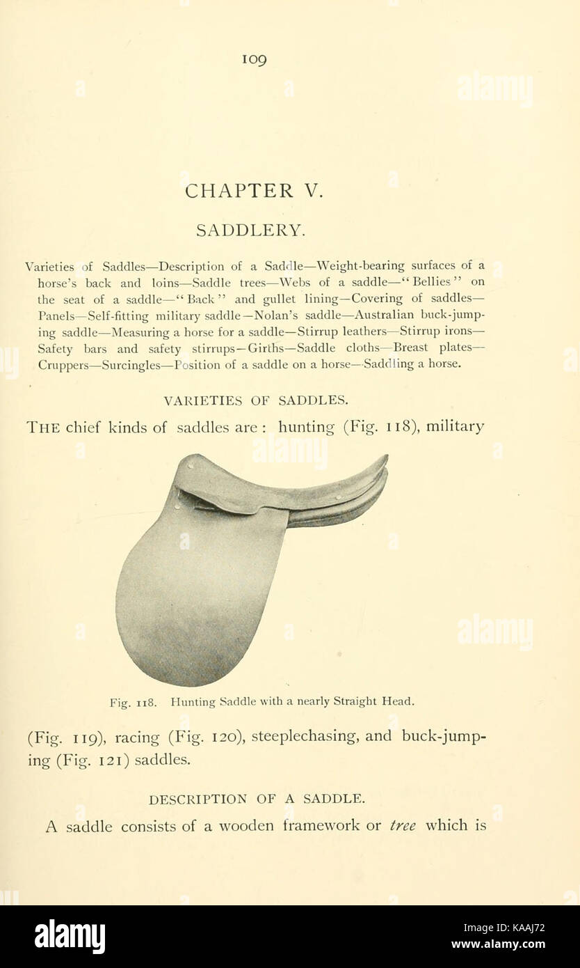 Il testo di pagina 109 di una pubblicazione storica discute temi dell'equitazione e della caccia, mostrando queste attività in un contesto storico. Fornisce un'analisi approfondita delle pratiche, degli strumenti e della rilevanza culturale dell'equitazione e della caccia durante il periodo trattato nella pubblicazione. Foto Stock
