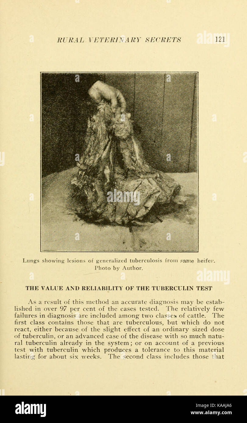 "Rural Veterinary Secrets" è un libro che fornisce informazioni sulle pratiche veterinarie in ambienti rurali, in particolare per quanto riguarda la cura e il trattamento del bestiame e di altri animali in ambienti agricoli. Foto Stock