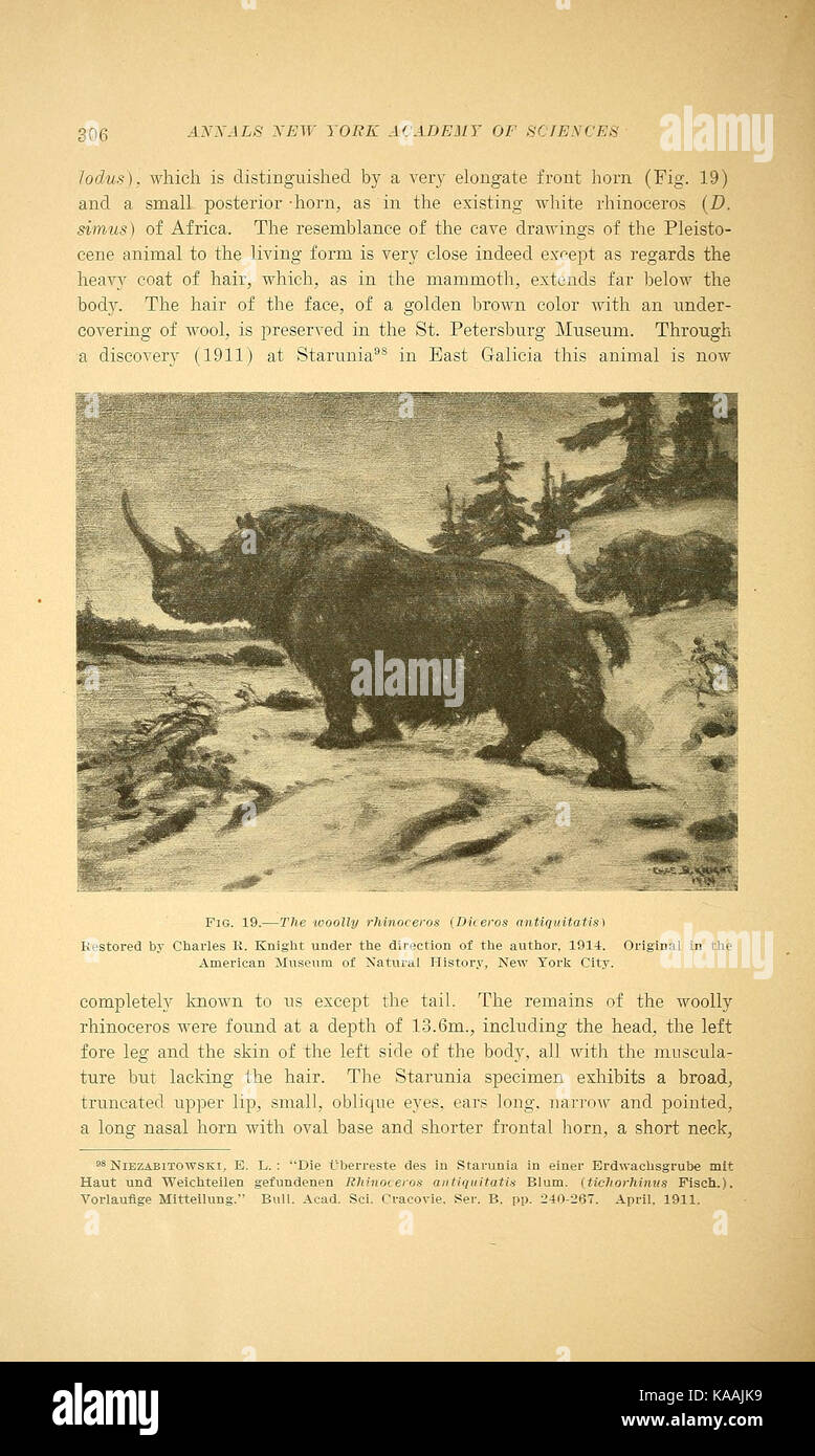 Revisione del Pleistocene Superiore di Europa, Asia e Nord Africa (pagina 306) BHL40059626 Foto Stock