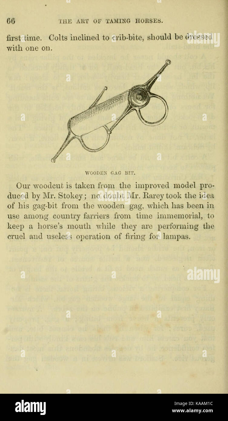 L'arte di domare cavalli (pagina 66) BHL21261575 Foto Stock