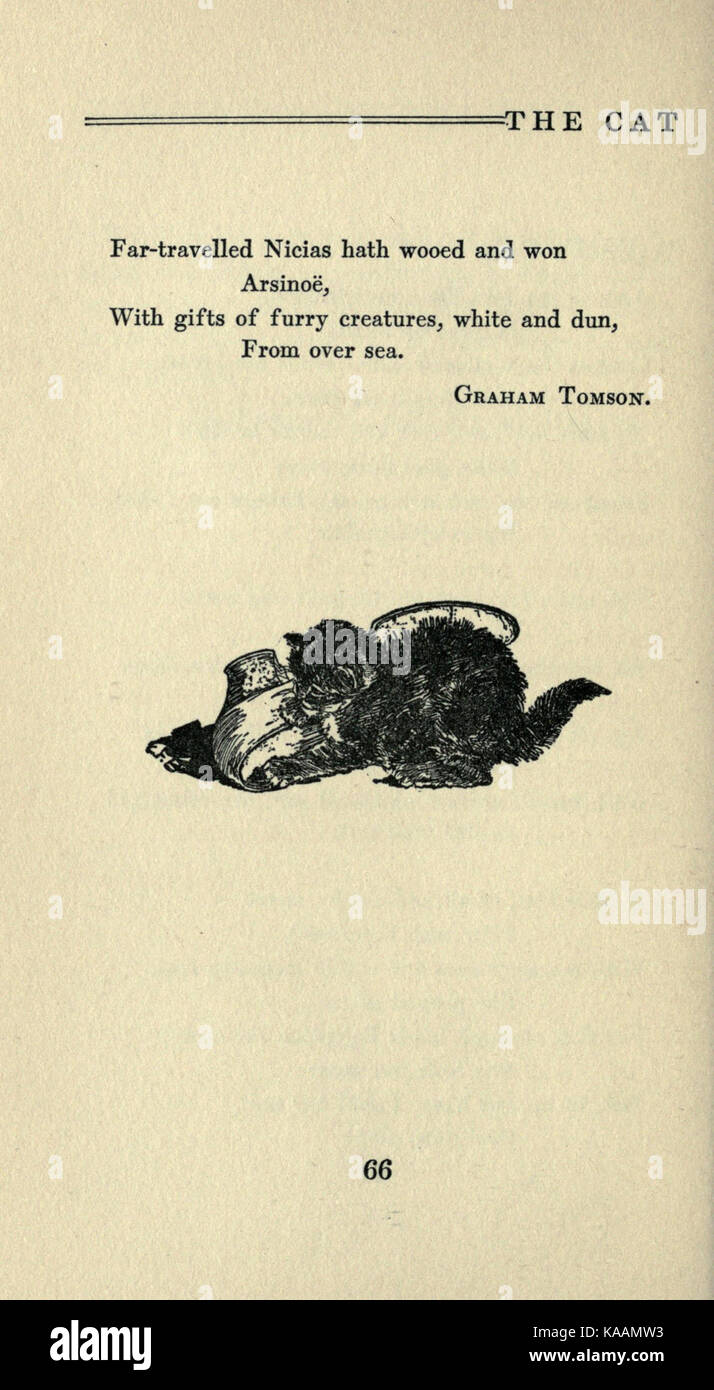 Il gatto (pagina 66) BHL21300091 Foto Stock