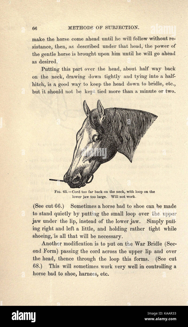 L'arte di addomesticare e di educare il cavallo (pagina 66) BHL23190125 Foto Stock