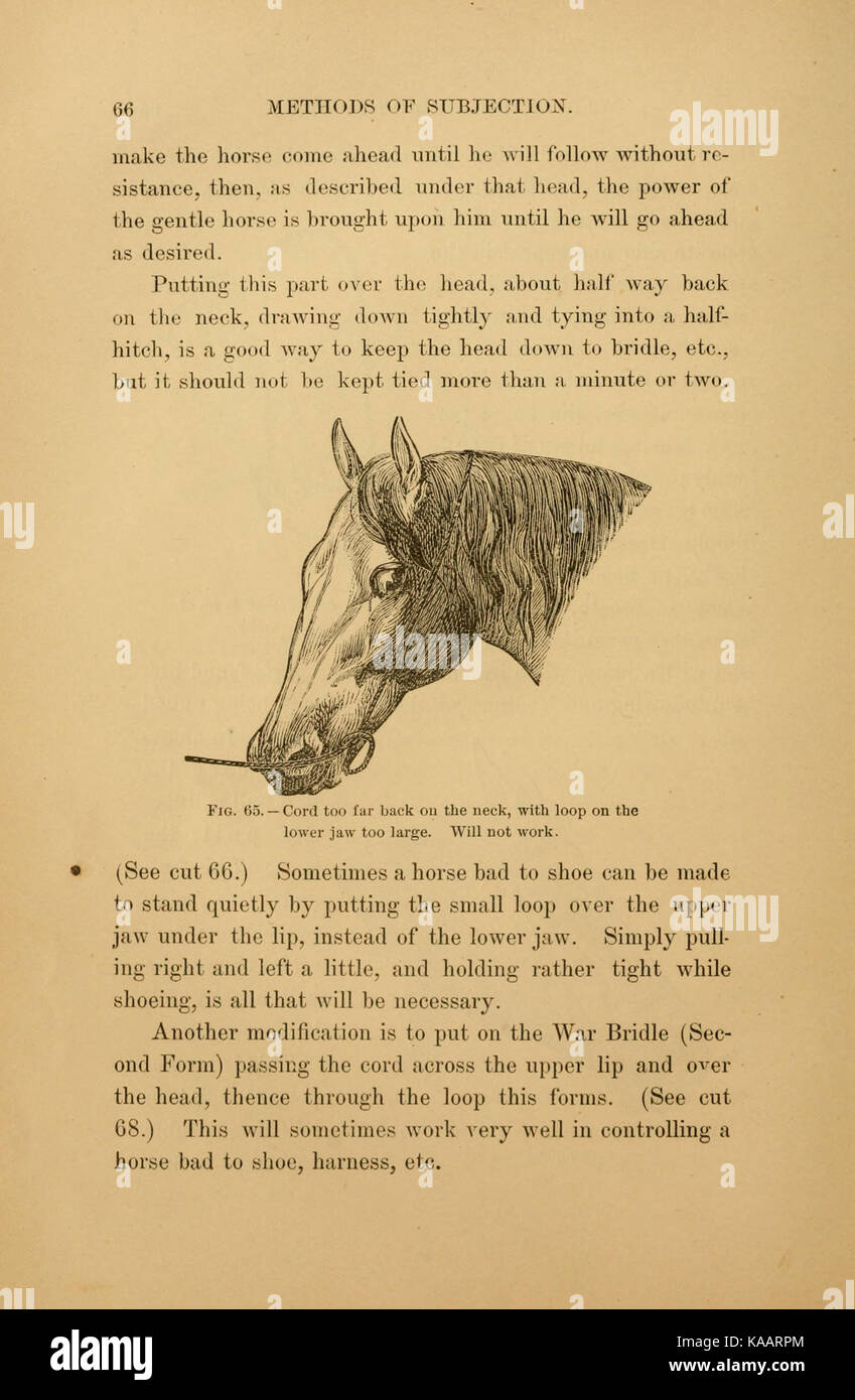 L'arte di addomesticare e di educare il cavallo (pagina 66) BHL21387944 Foto Stock