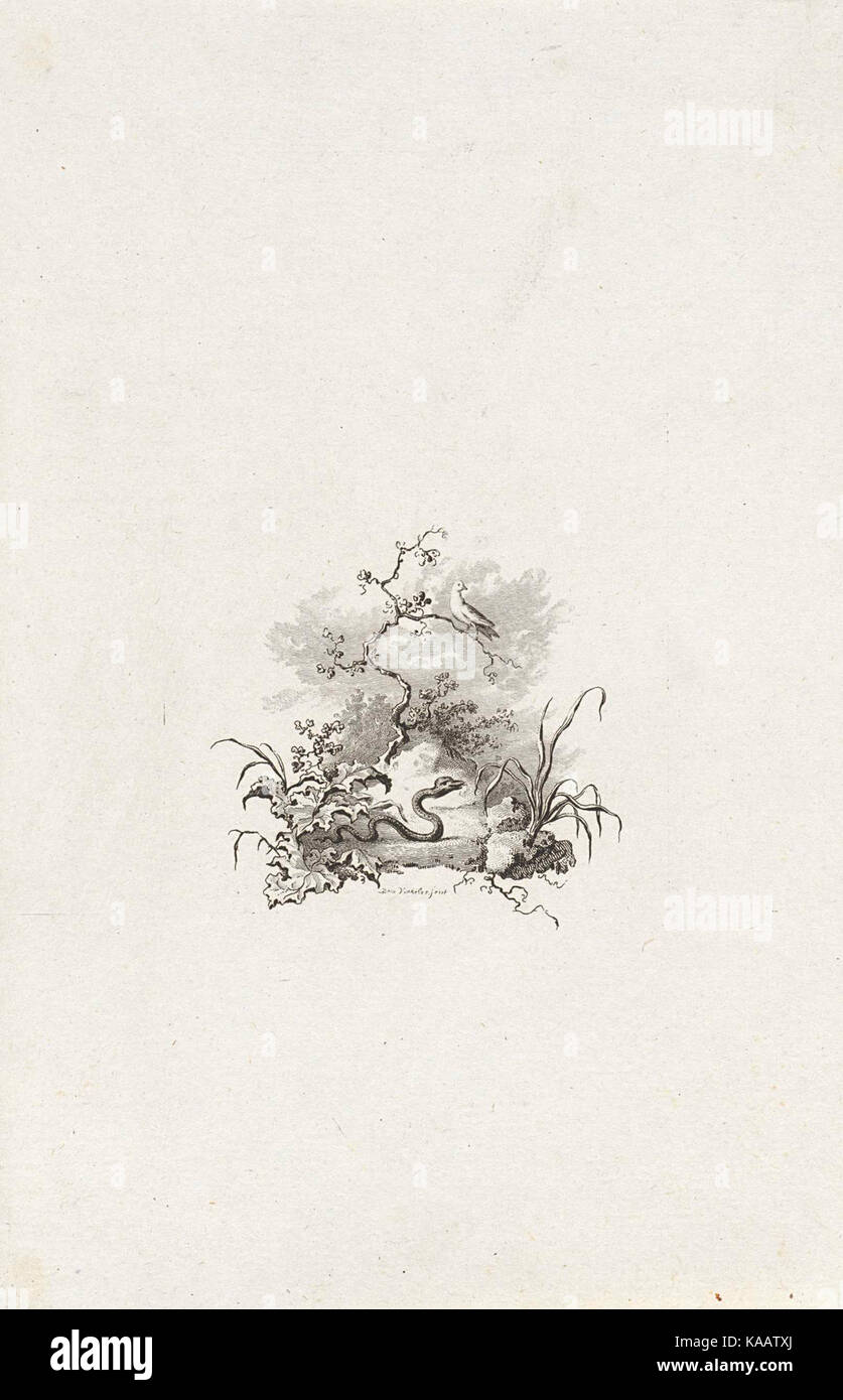 "Slang en duif in de woestijn" si traduce in "serpente e colomba nel deserto", riferendosi probabilmente a una rappresentazione metaforica o naturale della fauna selvatica nei paesaggi desertici, evidenziando la sopravvivenza in condizioni difficili. Foto Stock