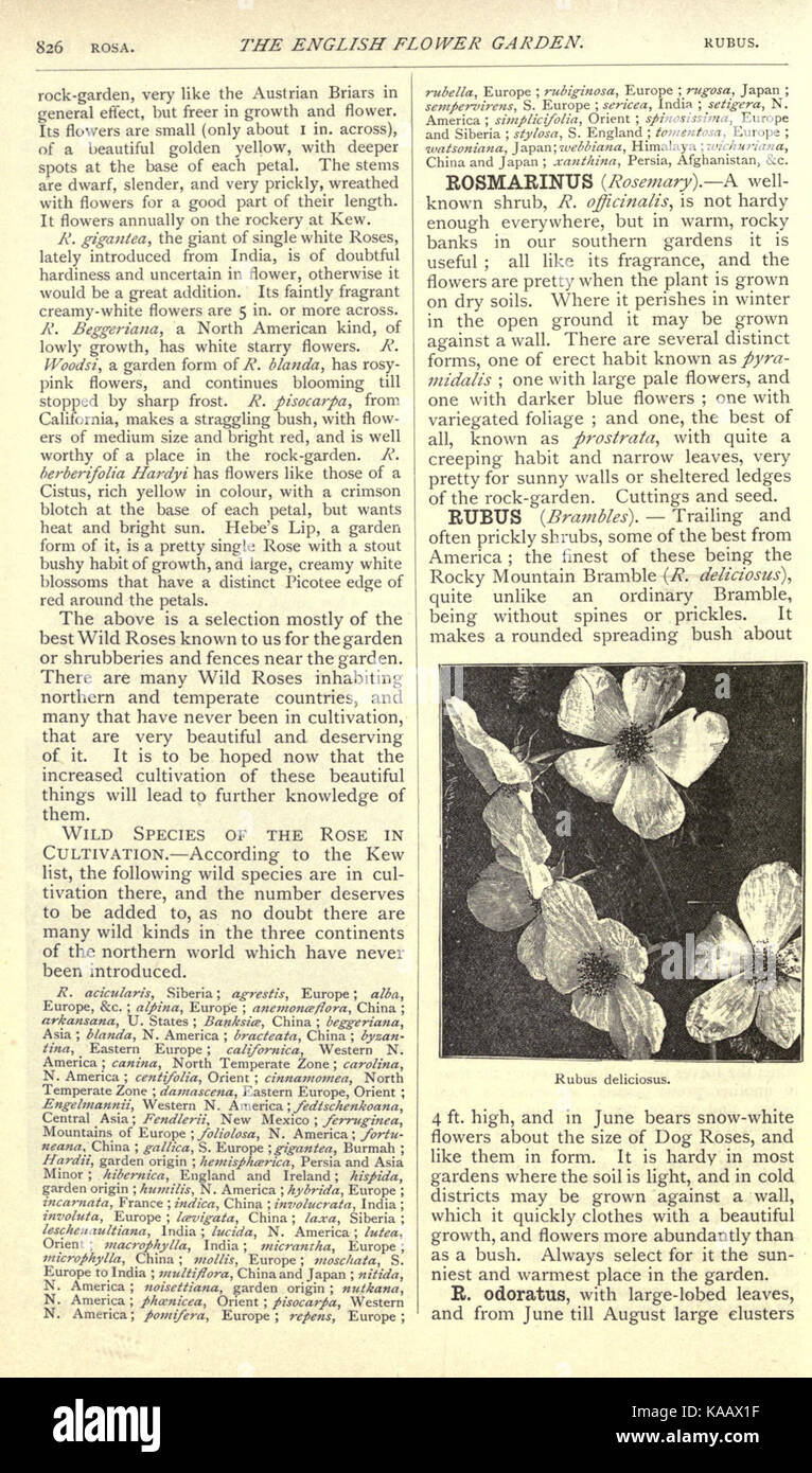 Questo libro fornisce approfondimenti sul giardinaggio inglese, concentrandosi sui terreni domestici e sulla coltivazione dei fiori per scopi estetici e pratici. Le illustrazioni vintage valorizzano il valore storico della guida. Foto Stock