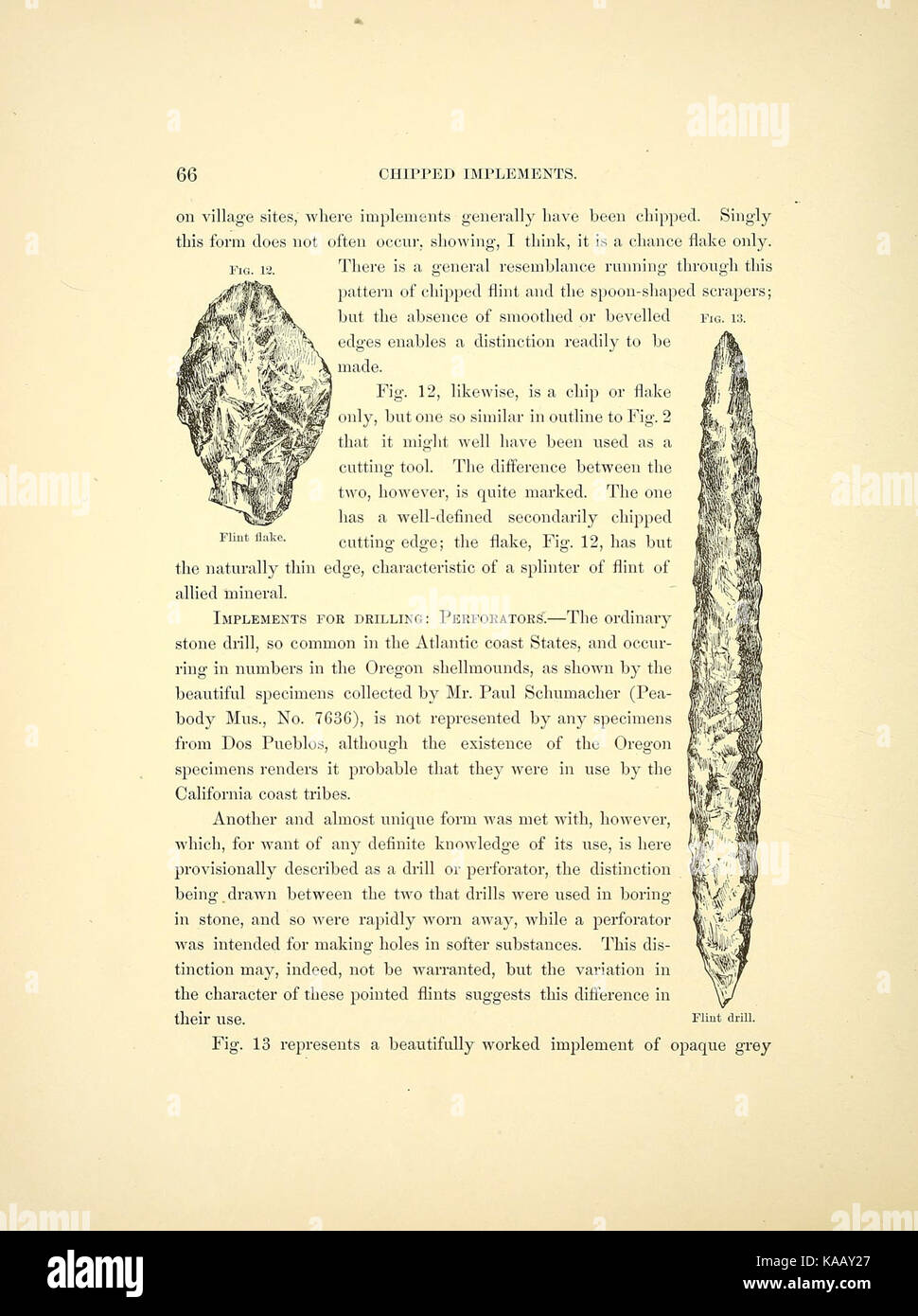 Rapporti al Archeologico Etnologico collezioni dalla vicinanza di Santa Barbara in California e dal rovinato pueblos di Arizona e nel Nuovo Messico e alcune tribù degli interni (pagina 66) BHL40034373 Foto Stock