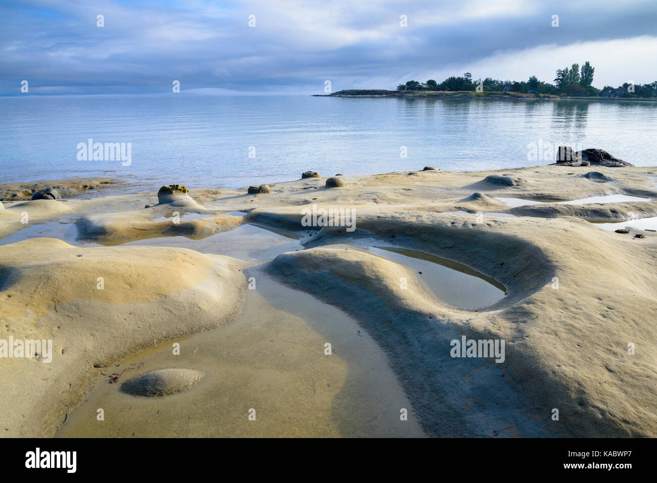 Stazione Baleniera Bay, Hornby Isola, British Columbia, Canada Foto Stock