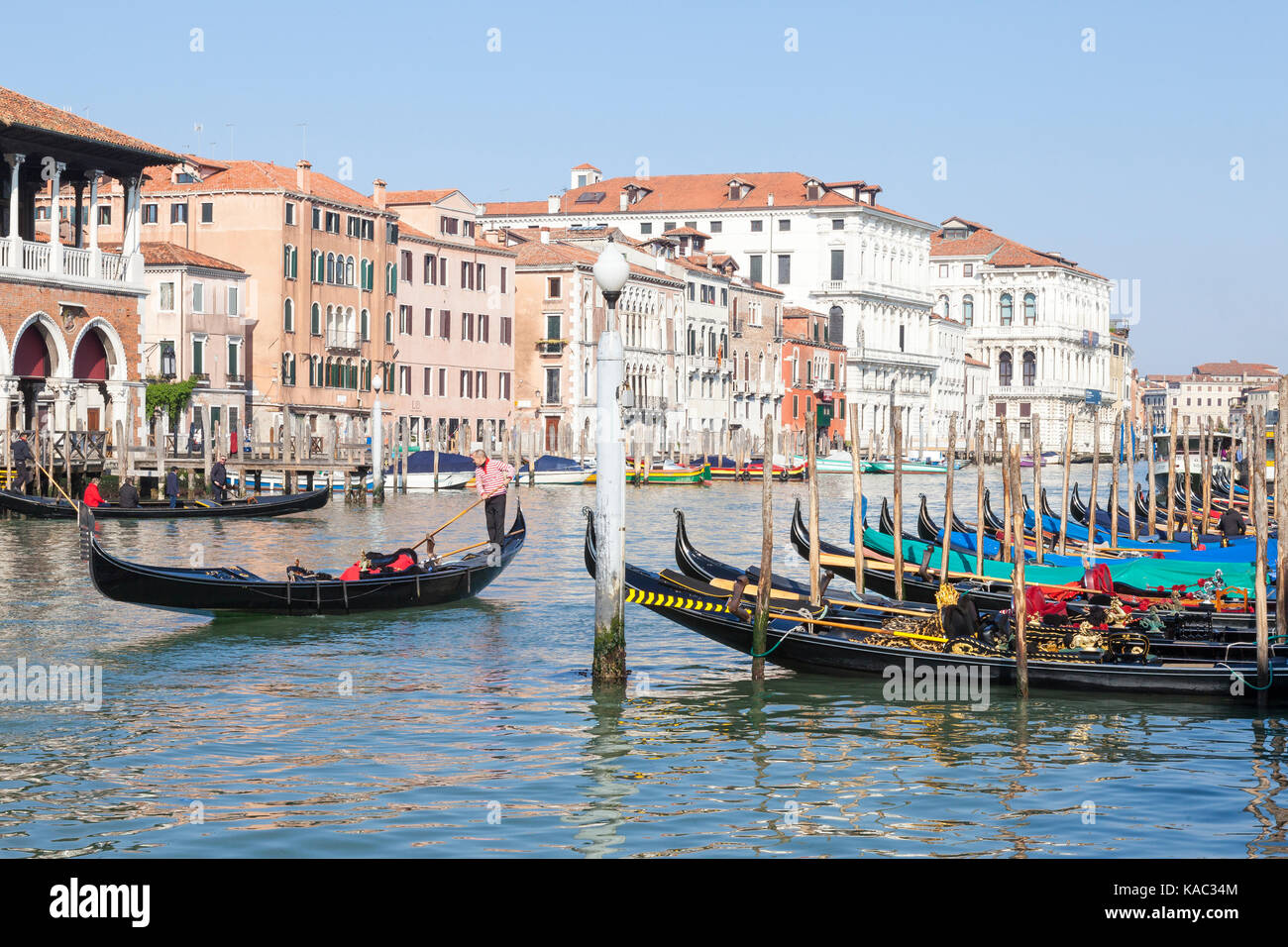 Gondoliere canottaggio gondola il suo passato il Mercato di Rialto, Venezia, Italia in mattina presto luce su una tranquilla Grand Canal, righe colorate gondole attraccate in Foto Stock